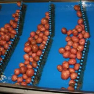 Flexam High Impact Resistant Belts