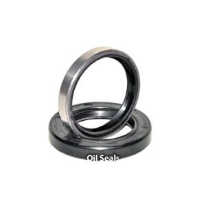 Oil Seal