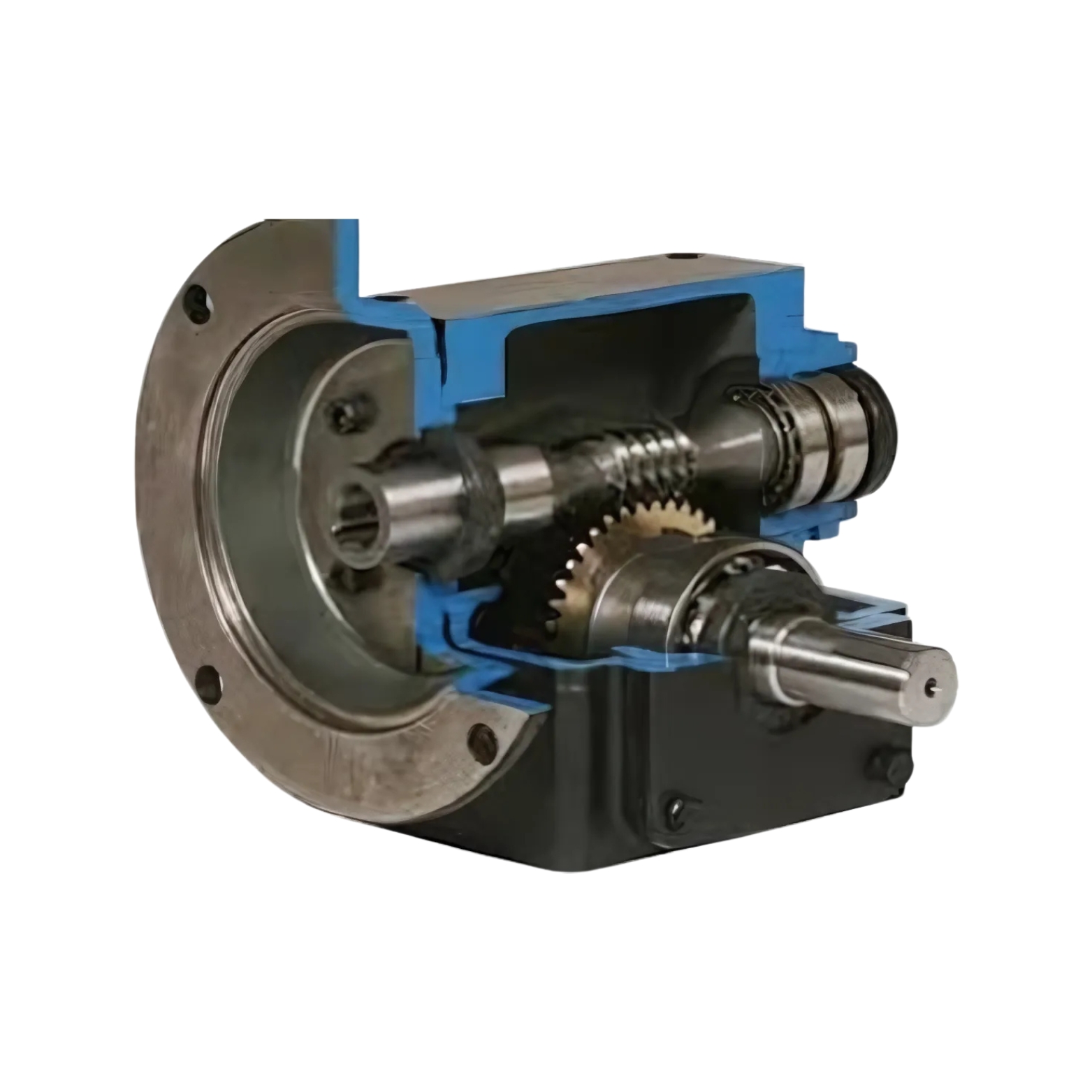 Worm Gear